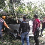 Mobil Honda Mobilio saat tertimpa pohon randu akibat longsor. Foto: Ist.