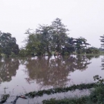 Banjir yang melanda salah satu wilayah di Kecamatan Rejoso.