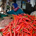 Salah satu pedagang cabai di pasar tradisional Sumenep saat sedang menunuggu pembeli.