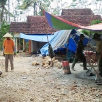 Tenda-tenda yang sengaja dibuat untuk mengurangi sorotan sinar matahari saat bekerja.