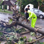 Petugas saat memotong pohon yang tumbang di di Jalan Raya Desa Pakisrejo Kecamatan Srengat.