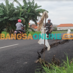 Pengguna jalan penghubung Desa Banjarsari-Kedanyang memperlambat laju kendaraan saat melintas  di ruas jalan yang mengalami kerusakan. Foto: SYUHUD/ BANGSAONLINE