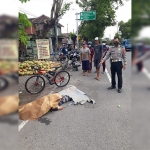Petugas kepolisian saat mengevakuasi pesepeda yang meninggal dunia di sekitar area Bunderan Ketapang, Tanggulangin, Sidoarjo.