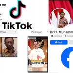 Akun palsu yang beredar di mesia sosial. Foto: tampilan di Facebook dan TikTok