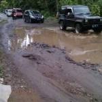 Salah satu akses jalan di Kabupaten Blitar yang rusak parah.