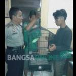 TERTANGKAP: Kedua tersangka pencurian burung cucak hijau di Mapolsek Buduran, kemarin. foto : catur andy erlambang/ BANGSAONLINE