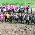 Penanaman rumput vetiver di tanggul Sungai Brantas Porong, oleh Forkopimda Sidoarjo.