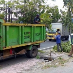 Petugas saat memotong pohon tumbang dan menaikkan ke truk untuk dibuang. foto: ist.