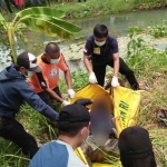 Petugas hendak membawa mayat ke RSUD Dr. Koesma untuk proses identifikasi.