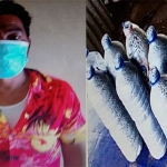 Kolase foto warga Sapeken, Sumenep, beserta handak yang digunakan untuk menangkap ikan.