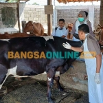 Petugas dari Disnakkan Situbondo saat turun lapangan di Desa Pokaan, Kecamatan Kapongan. Foto: SYAIFUL BAHRI/BANGSAONLINE