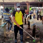 Petugas saat melakukan penyemprotan disinfektan di pasar hewan. Foto: Ist
