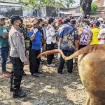 Polres dan Disnakkeswan Kabupaten Probolinggo melakukan antisipasi dengan penyuluhan ke masyarakat dan pasar hewan.
