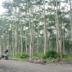 Jalan tembus yang sudah bisa dimanfaatkan warga. Foto: Ist