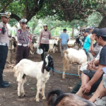 Petugas Satlantas Polres Kediri Kota saat melakukan sosialisasi. (Ist)