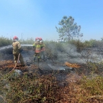 Petugas Damkarmat Bojonegoro saat melakukan pemadaman api yang membakar lahan.