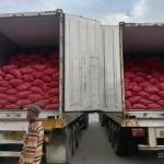 Bawang merah Probolinggo yang diangkut ke dua kontainer untuk diekspor ke Thailand melalui PT Cipta Makmur Sentausa.