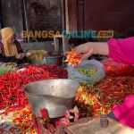 Harga cabai di Bali hari ini mengalami perubahan yang sangat signifikan. Foto: Sulthon/BANGSAONLINE.