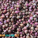 Bawang merah menjadi salah satu komoditas yang mengalami penurunan hari ini. Foto: Sulthon/Bangsaonline.