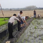 Polisi saat menunjukkan lokasi petani tewas tersengat listrik di Dusun Ngembak, Desa Munggut, Kecamatan Padas, Kabupaten Ngawi, Senin (12/11).