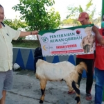 Kambing kurban dari Indah Kurnia saat diserahkan ke petani rumput laut di Desa Kupang, Kecamatan Jabon, Sidoarjo. Foto: Ist