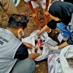 Tim dari DKPP Kota Kediri saat memeriksa daging kurban. Foto: Ist.