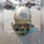 Tengkorak yang ditemukan pekerja tambak di Desa Tambakrejo, Kecamatan Waru, Sidoarjo.