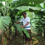 Salah satu warga Desa Adat Asahduren, Kecamatan Pekutatan, Jembrana, Bali.