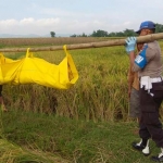 Petugas dibantu warga setempat menggotong jasad korban.