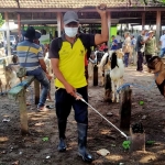 Petugas saat melakukan penyemprotan disinfektan di pasar hewan. (Ist)