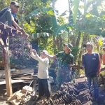 Satgas TMMD Trenggalek saat proses perobohan rumah Boinem.