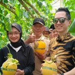 Wali Kota Kediri, Vinanda Prameswati, bersama Pengelola Gen Sobo Farm, Agung Riyanto (tengah), dan Anggota DPRD Kota Kediri, Agung Purnomo saat memegang buah melon yang baru dipetik. Foto: Muji Harjita/Bangsaonline.
