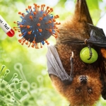 Ilustrasi Virus Nipah.
