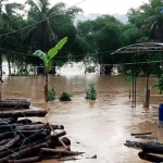 Bencana banjir Pacitan yang memporak-porandakan ribuan rumah, November tahun lalu.