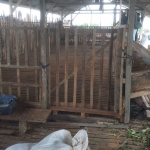 Lokasi kandang belasan ekor kambing milik warga Selopuro, Kabupaten Blitar, yang hilang.