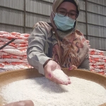 Wakil Pimpinan Perum Bulog Cabang Surabaya Selatan, Airina Faiza ketika mengecek stok beras di Gudang Bulog Mojokerto. (foto: YUDI EP/ BANGSAONLINE).