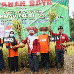 Wakil Bupati Dewi Khalifah bersama Forkopimka dan Kepala Desa Paberasan Rahman Saleh melakukan panen padi organik di desa setempat.