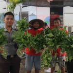 Petugas dan WBP Lasdaun saat menunjukkan hasil panen kangkung.