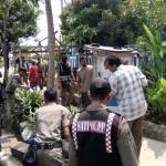 Petugas saat menertibkan salah satu lapak PKL di jalan Diponegoro Tuban. foto: SUWANDI/ BANGSAONLINE