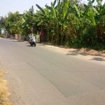 Lokasi kejadian percobaan penjambretan di Jalan Raya Dusun Besuk Desa Sambungrejo, Kecamatan Sukodono, Sidoarjo.