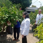 Pj Wali Kota Zanariah saat meninjau kebun milik Dinas Ketahanan Pangan dan Pertanian Kota Kediri. Foto: Ist.