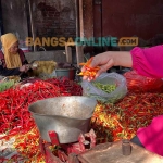 Harga cabai rawit merah di Jatim terpantau masih mengalami lonjakan. Foto: Bangsaonline.