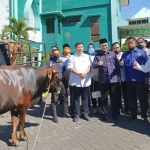 Ketua Fraksi NasDem Muzamil saat menyerahkan sapi di Kantor PWNU Jatim yang diterima oleh KH Sholeh Hayat.