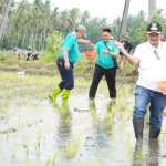 Bupati Situbondo, Karna Suswandi melakukan pemupukan pertama padi BK 01 dan 02 di Kecamatan Asembagus.