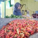 Salah satu pedagang cabai di Pacitan.