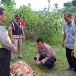 Jenazah korban usai dievakuasi dari Sungai Tinggang dan hendak dibawa ke rumah sakit.