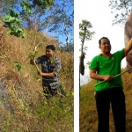 Lampion yang ditemukan petugas Perhutani di kawasan Gunung Kebo, Trenggalek. foto: HERMAN/ BANGSAONLINE