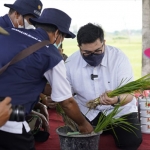 Bupati Kediri Hanindhito Himawan Pramana saat pegang benih padi.