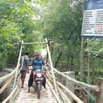Jembatan penghubung 2 desa di Kecamatan Balong yang terbuat dari bambu dan sesek.