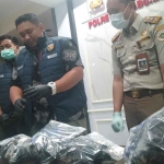 Kasatreskrim Polres Pelabuhan Tanjung Perak, AKP Arief Risky Wicaksana saat menunjukkan barang bukti Gagak Hitam yang akan dikirim ke Solo yang ditransitkan di Surabaya.